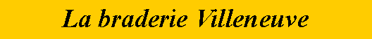 Zone de Texte: La braderie Villeneuve