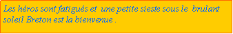 Zone de Texte: Les hros sont fatigus et  une petite sieste sous le  brulant soleil Breton est la bienvenue .