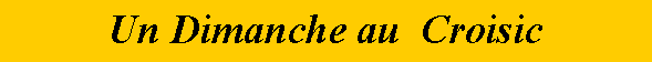 Zone de Texte: Un Dimanche au  Croisic